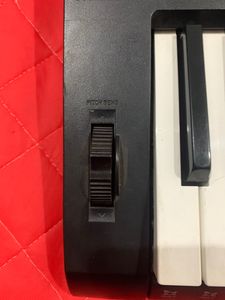 Casio CTK-3500 61-Key Portable Keyboard with Piano tones With Adapter And Casio Carry Case