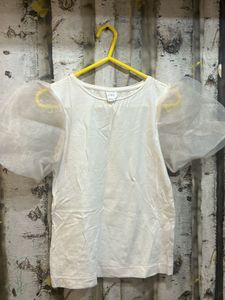 Baby Pink Zara Organza Sleeves Top