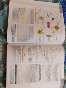 Microbiology Textbook 12th Edition