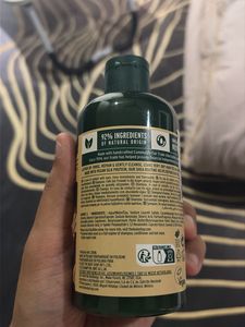 The Body Shop Shea Shampoo