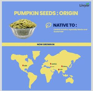Livyor Raw Pumpkin Seeds for eating - 400gm (B)