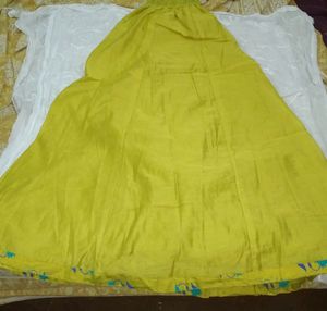 Skirt Type Plazzo