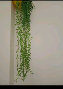 1 Bunch of Artificial Willow Creeper
