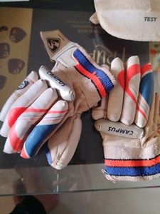 SG Cricket Kit For Sale (Used)