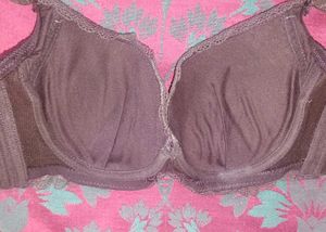 Lace Trim Pushup/Padded Bra