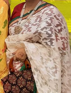 Elegant Red &amp; White Georgette Benarasi Saree