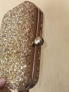 Gorgeous Metallic Clutch