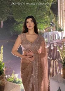 Beautiful Sequence Work Net Saree