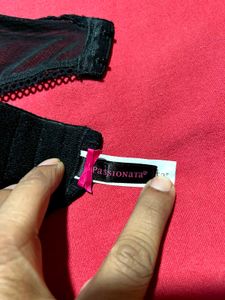 Black Lace Garter Belt – Size L