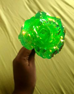 Fluorescent Green Rose With Golden Highlights.