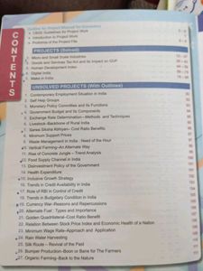 Class 12 Economics Project Ideas