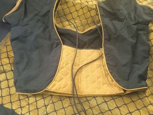 Back &amp;golden Pattusaree With Pri Cut Blouse