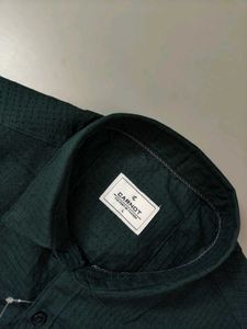 Carnot Green Shirt - Size M To 2XL