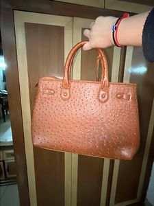 Crocodile Leather Purse