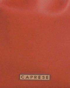 Caprese Orignal Orange Bucket Bag With Metal Accen