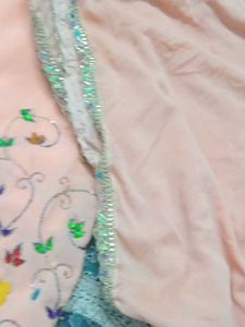 Embroidered Dupatta