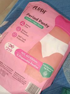 Feminine Hygiene Combo: Period Panties &amp; Pads