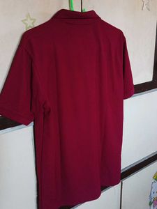 Burgundy Polo Shirt