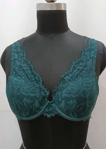 Padded Bra 36B