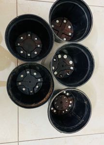 Black Plastic Plant Pots (Set of 5)