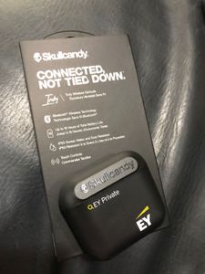 Skullcandy Indy Truly Wireless Earbuds