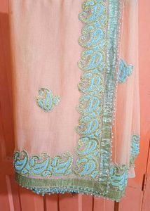 Elegant Embellished Saree