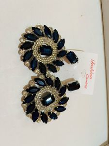 Statement Earrings new with tag