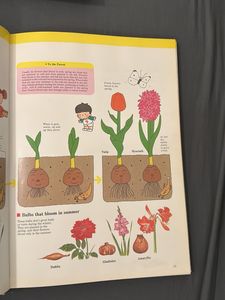 Child&#39;s First Library Learning