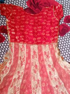 Elegant Ethnic Gown