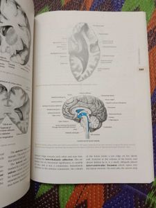 Anatomy Textbook