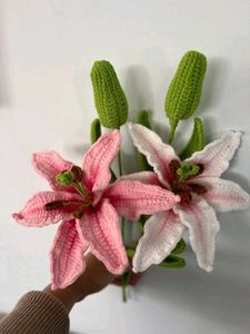Lilly