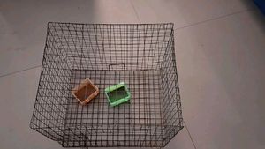 Small Bird Cage