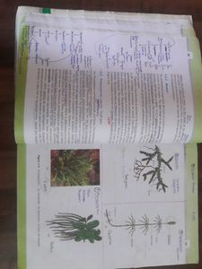 NCERT Class 11 Biology