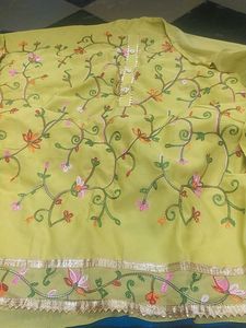 Parrot Green With Multi Thread Embroidery