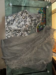 Elegant Silver Ethnic Skirt