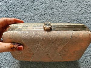 Elegant Clutch with Chain