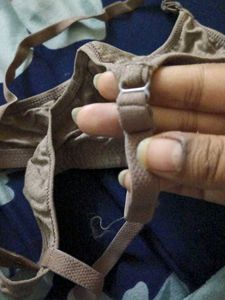 A Beautiful Comfortable Brown Cotton Bra For Teens