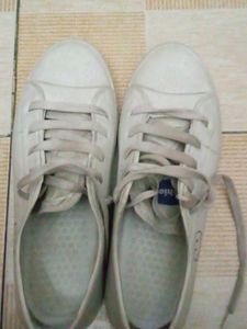 Men Shoes