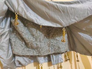 Shimmery Lehenga Choli ☺️✨🎉