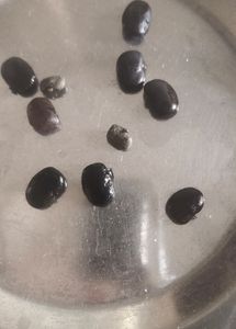 Neelkanth,Aprajita, Plant Seeds, Pack Of 10 Seeds