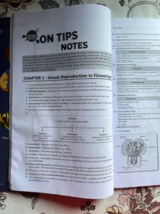CBSE Class 12 Biology Sample Question Papers