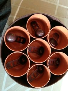 Masala Box Plastic 1 Pack