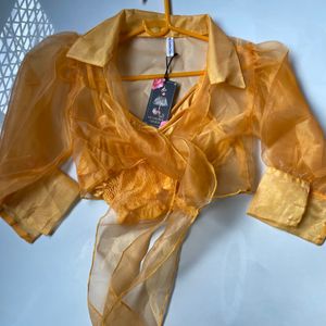 Orange Orgenza Mesh Top With That Inner