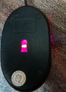Weird Mouse