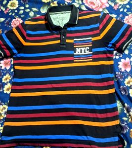 Moda Rapido Pure Cotton Polo Tshirt For Men