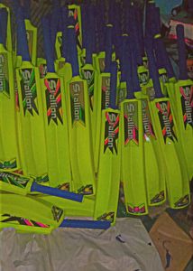 Genius Sports Plastic Cricket Bat