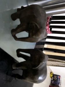 2beautiful Wooden Elephants,14×14 Cms.each,25yrold