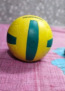 Cosco Championship Throwball