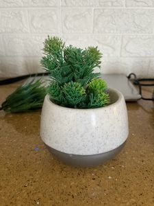 1 Plastic Pot And 4 Artificial Plants
