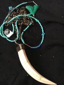 Mother of pearl claw and Turquoise beads Necklace.